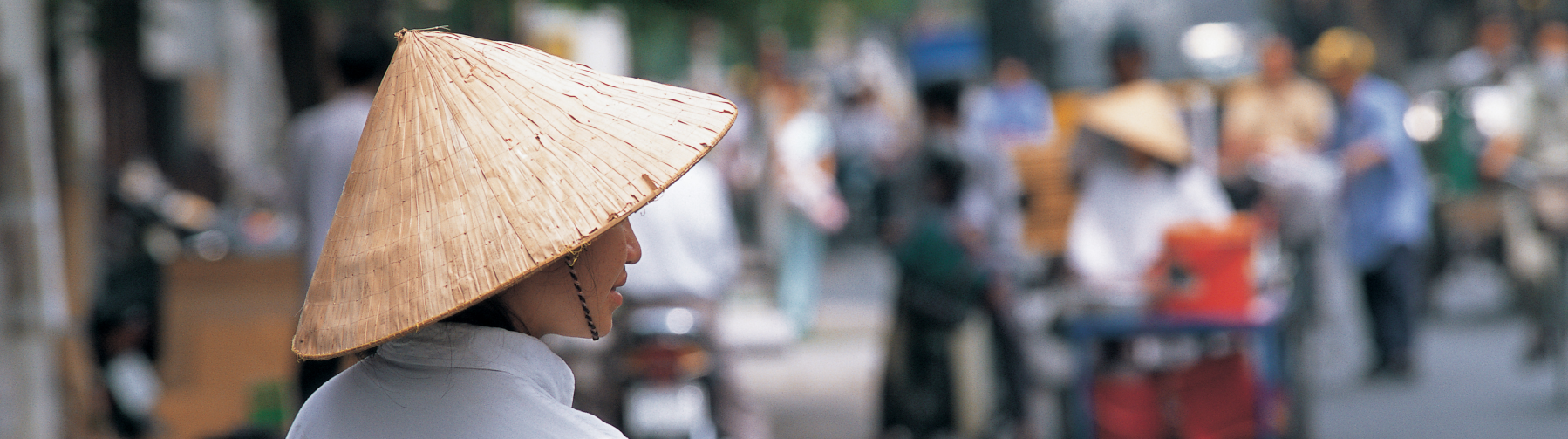 해외데이터 국가 상세 bg