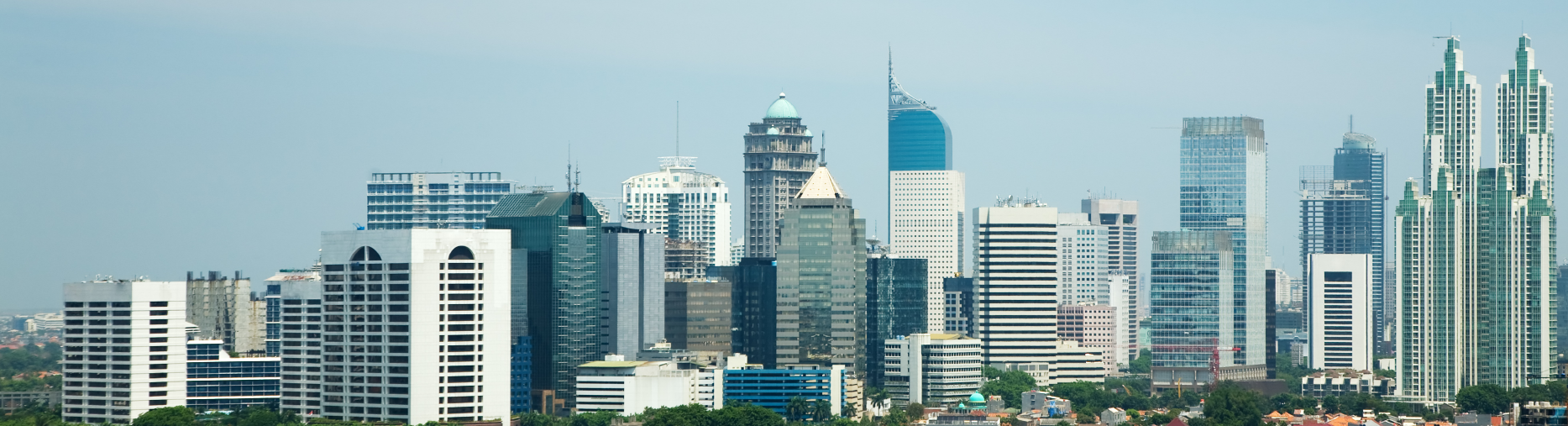 해외데이터 국가 상세 bg