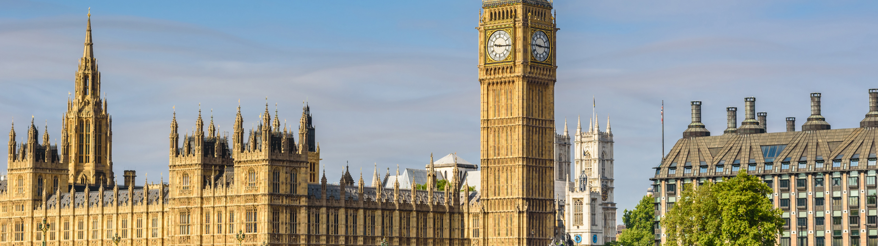 해외데이터 국가 상세 bg