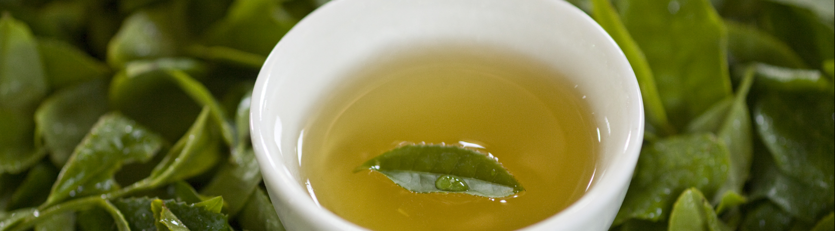 해외데이터 품목 상세 bg